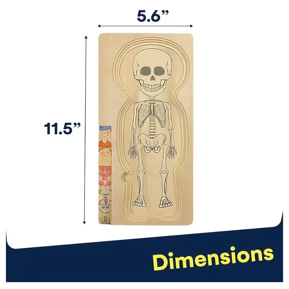 Kidzlane My Body Puzzle Boy Anatomy Wooden Montessori‎ Learning Toy 29 Piece NIB